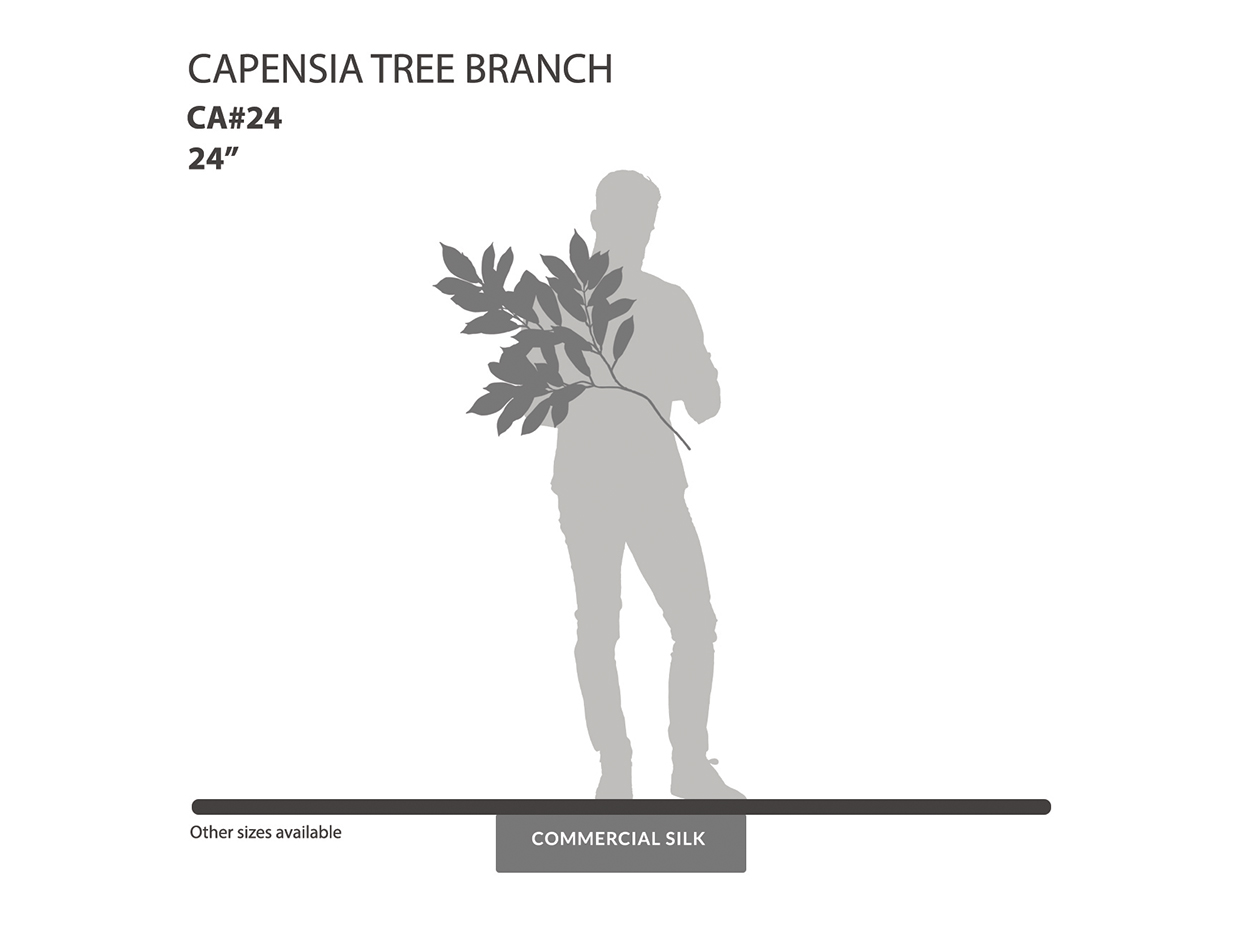 Capensia Spray ID# CA#24