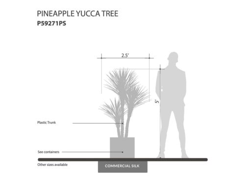 Pineapple Yucca Tree ID# P59271PS