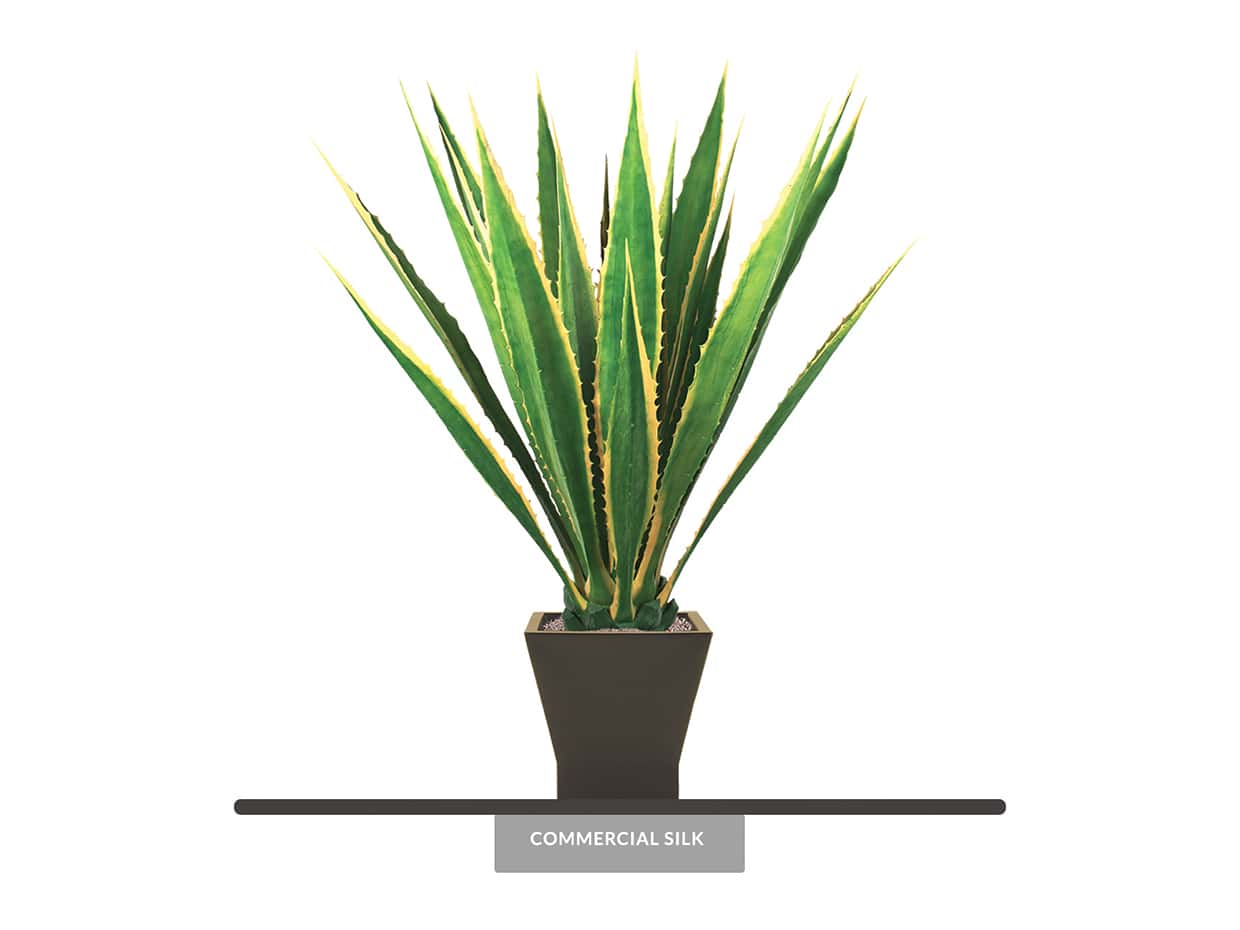 Fake Agave Plant Variegated