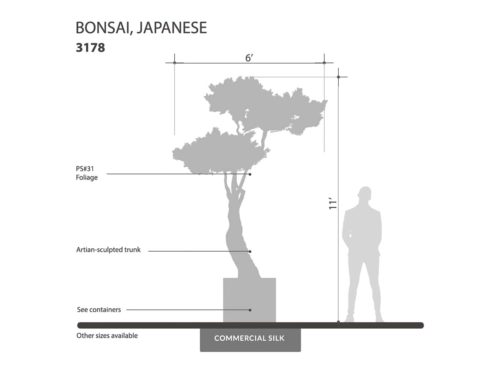 Japanese Bonsai Tree ID# 3178