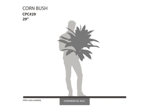 Corn Plant Bush ID# CPC#29