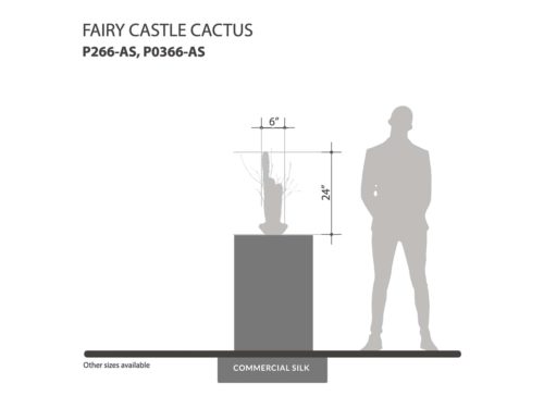 Fairy Castle Cactus Plant ID# P266-AS, P0366-AS