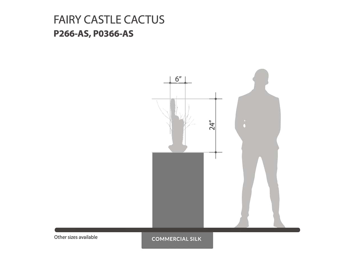 Fairy Castle Cactus Plant ID# P266-AS, P0366-AS