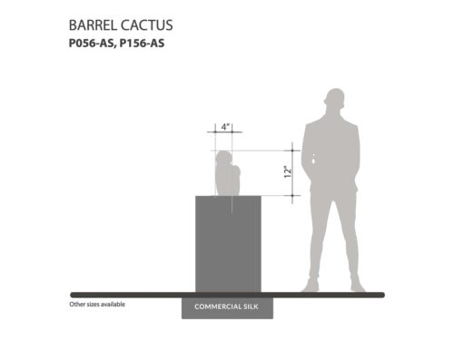 Barrel Cactus Plant ID# P056-AS, P156-AS