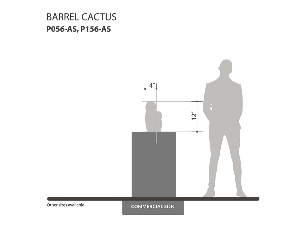 Barrel Cactus Plant ID# P056-AS, P156-AS