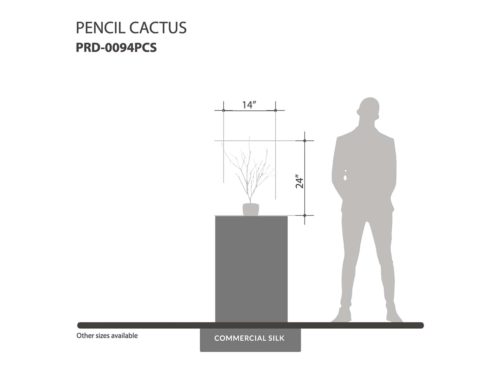 Pencil Cactus Plant ID# PRD-0094PCS