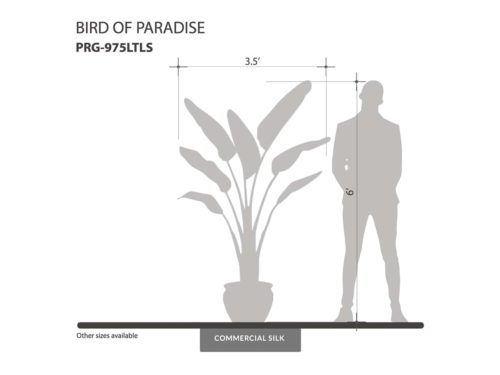 Faux Bird of Paradise Plant ID# PRG-975LTLS