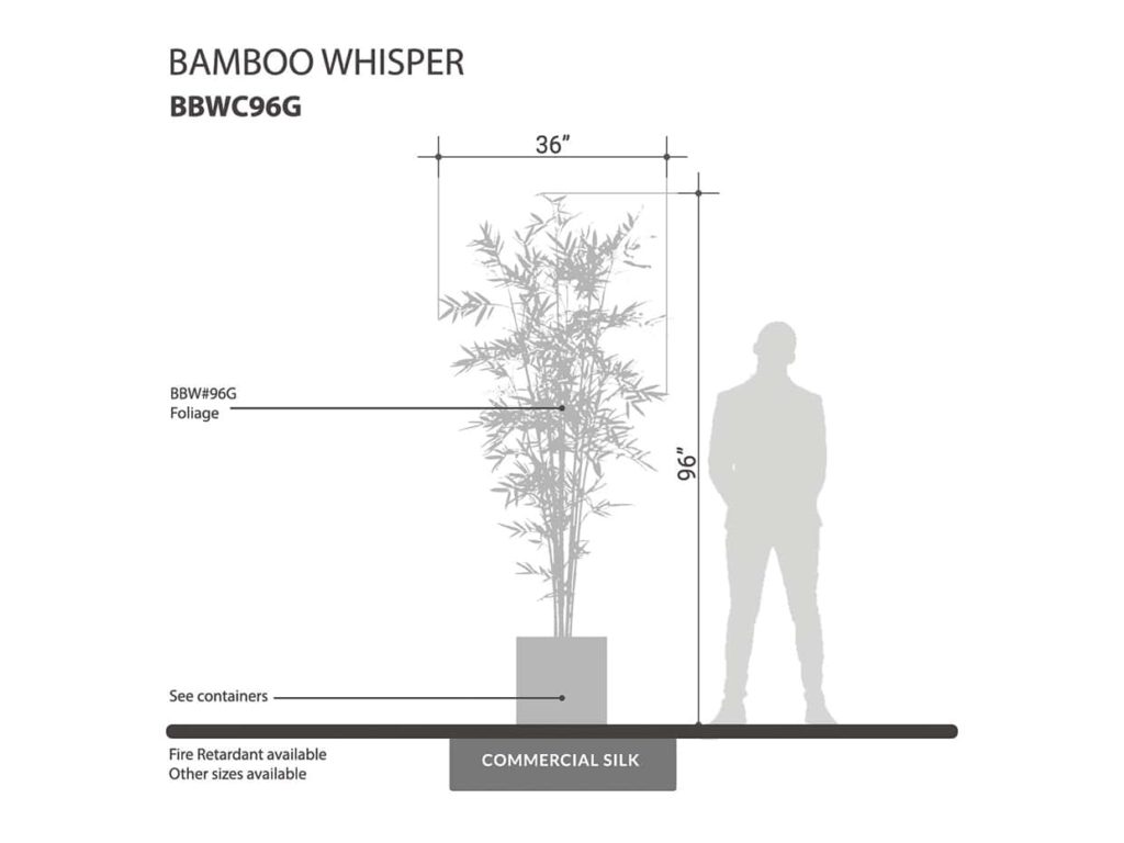 Whisper Bamboo Tree ID# BBWC96G