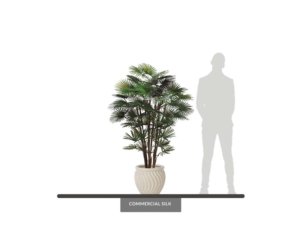 Fan Palm Tree, 5.5' ID# PRG-581PTLS