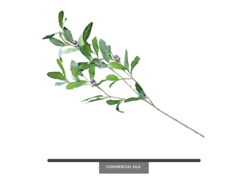 Live Oak Spray, Green ID# OKL#26G