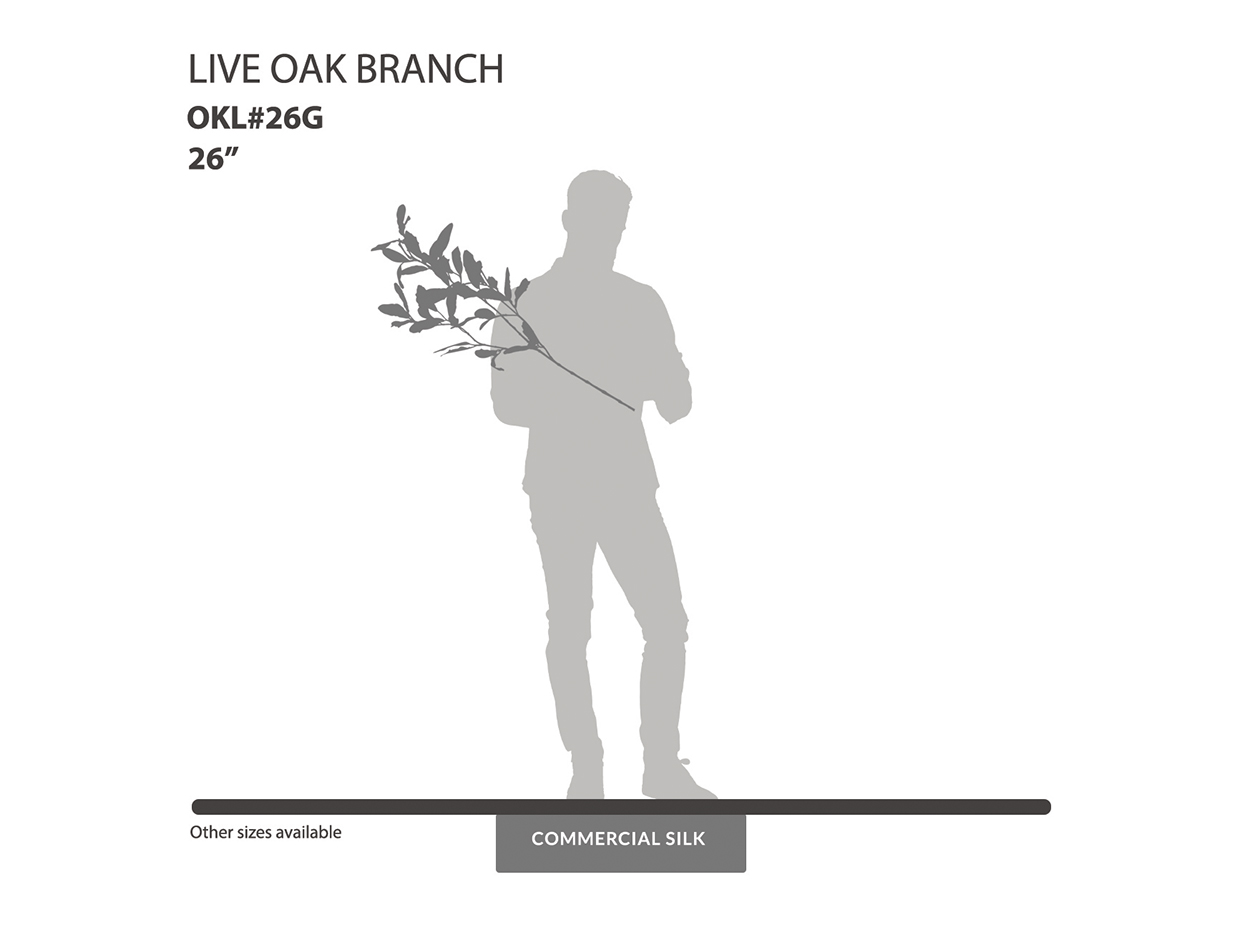 Live Oak Spray, Green ID# OKL#26G