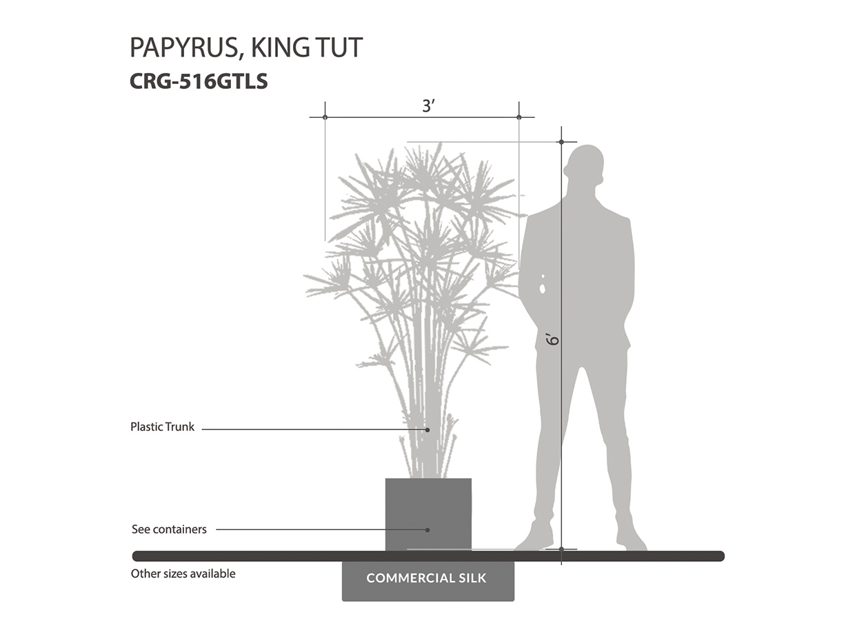 King Tut Papyrus Tree ID# CRG-516GTLS