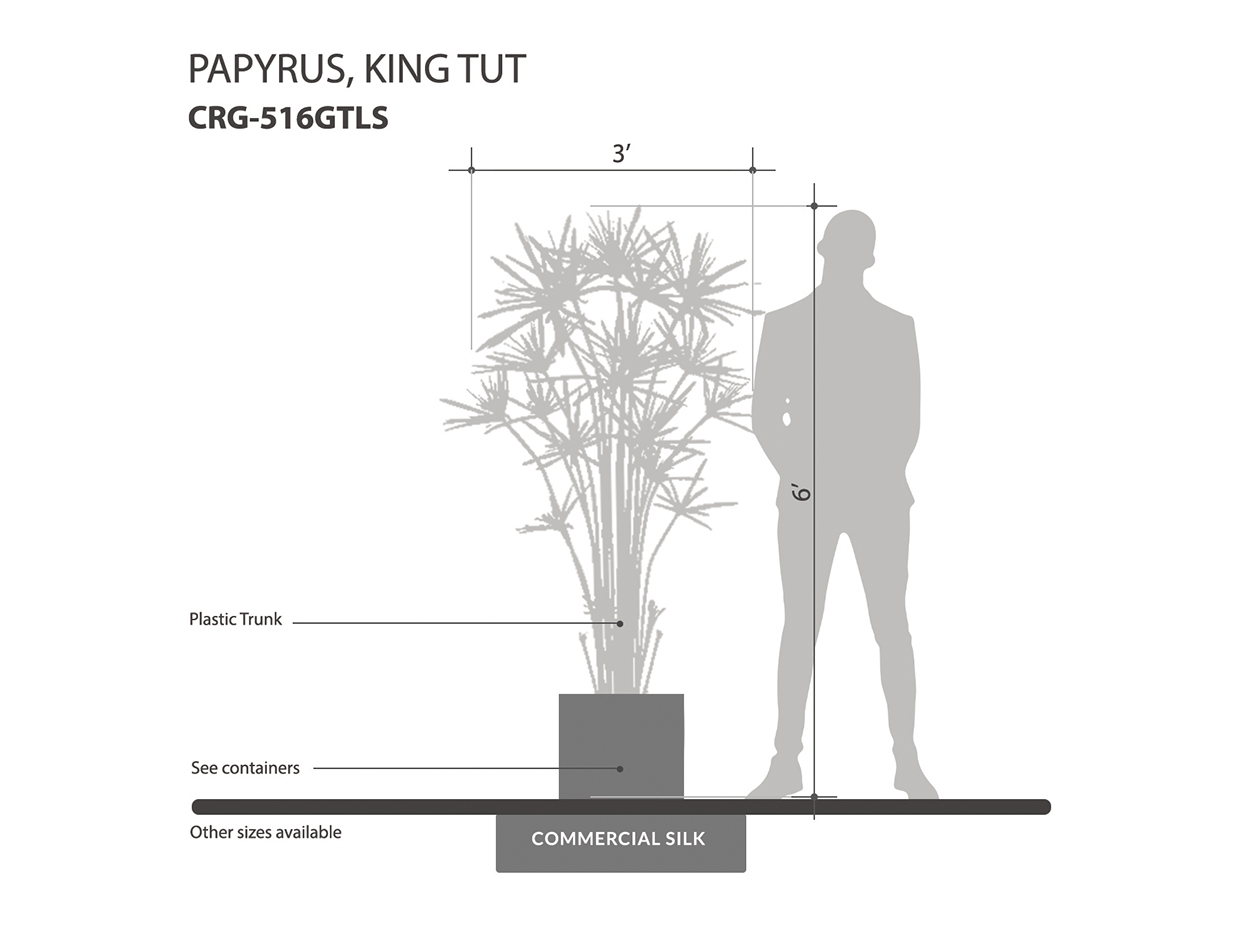 silk king tut papyrus palm silk king tut papyrus palm