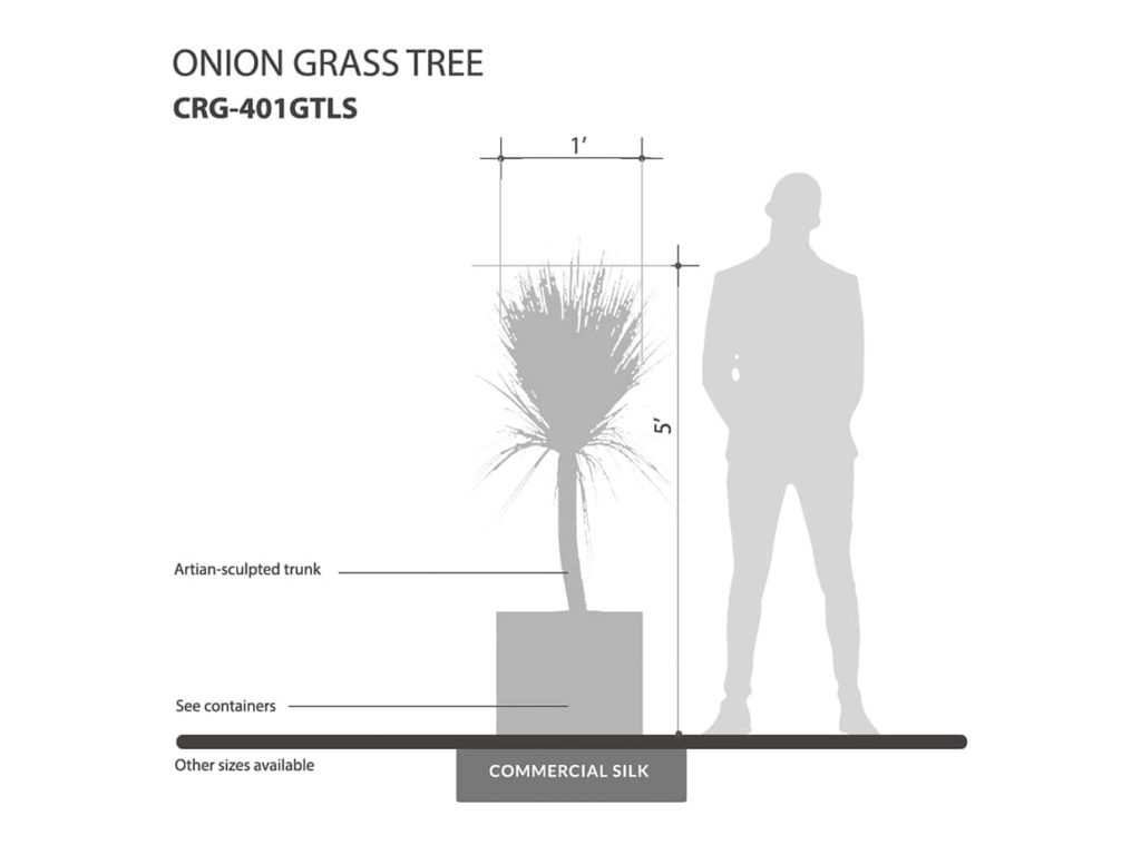Onion Grass Tree ID# CRG-401GTLS