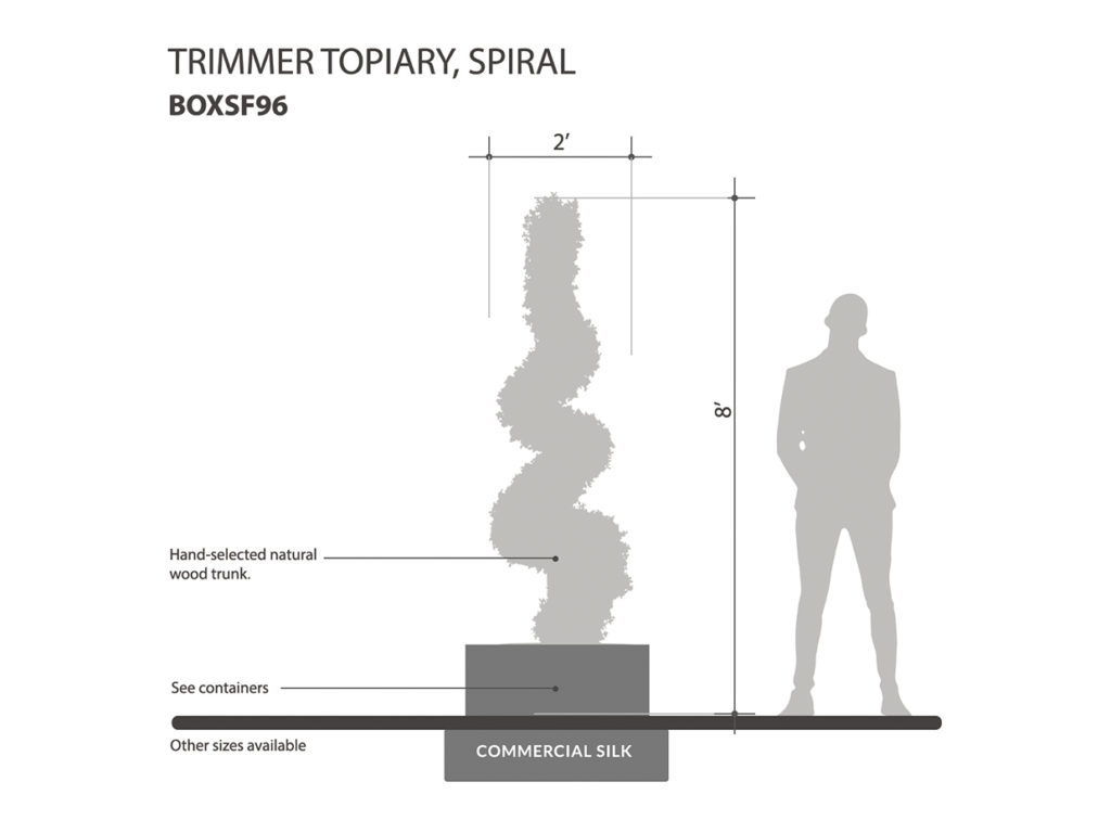Trimmed Spiral Topiary ID# BOXSF96