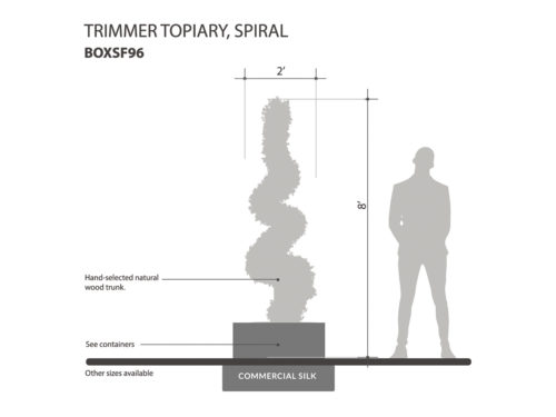 Trimmed Spiral Topiary ID# BOXSF96