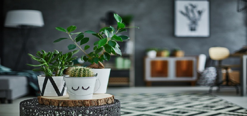 9 Irresistible Reasons That Make Artificial Plants A Classic Décor Element