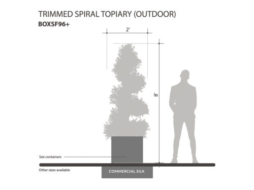 Outdoor Trimmed Spiral Topiary ID# BOXSF96+