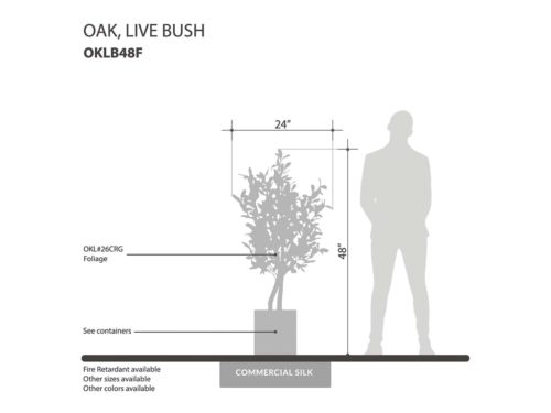 Live Oak Bush ID# OKLB48F
