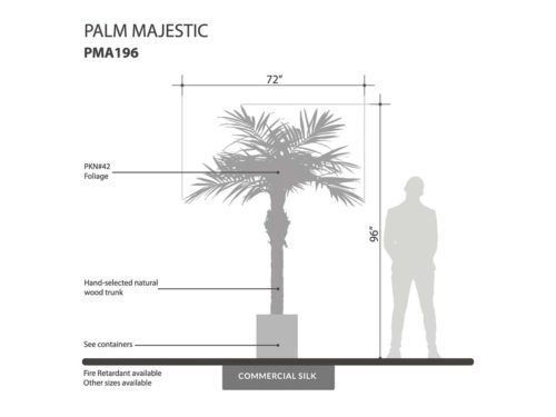 Majestic Palm Tree ID# PMA196