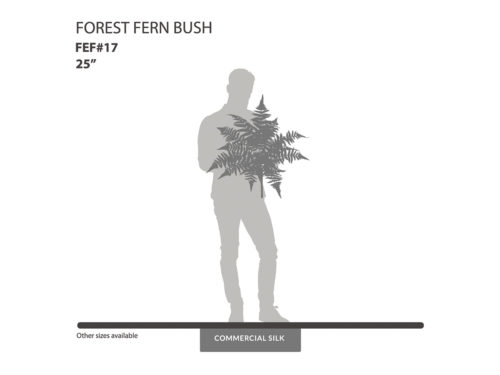 Forest Fern Bush ID# FEF#17