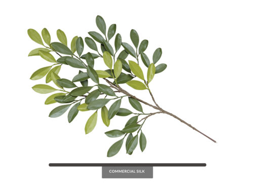 Bay Leaf Spray ID# BAY++36PDSS