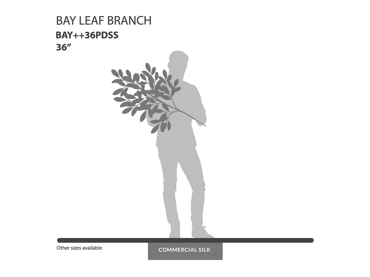 Bay Leaf Spray ID# BAY++36PDSS