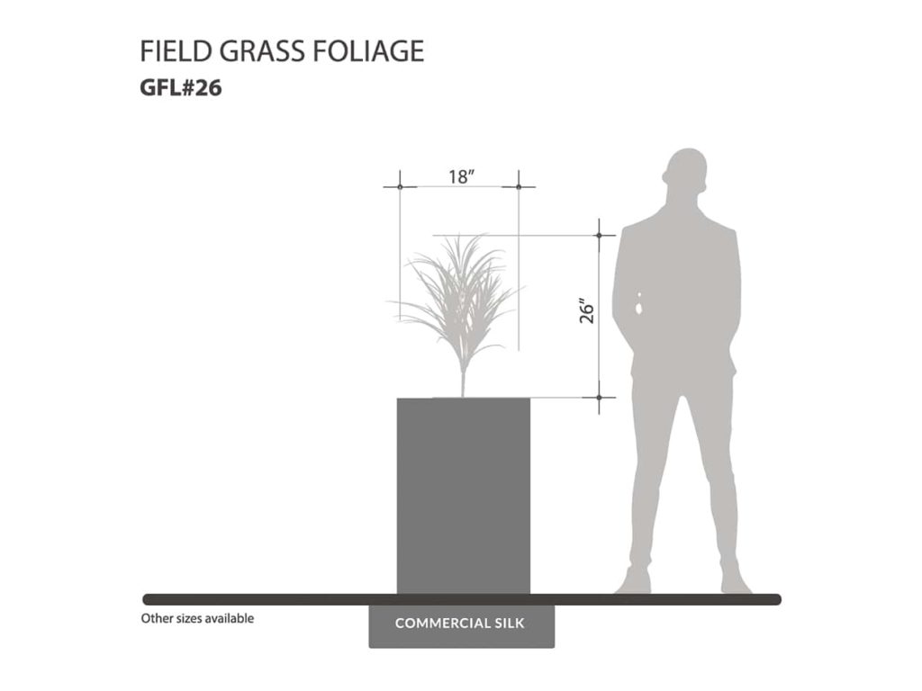 Field Grass Foliage ID# GFL#26