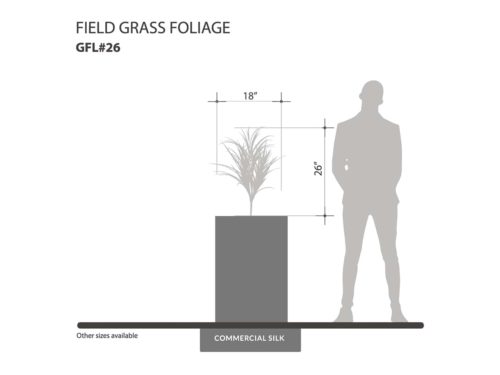 Field Grass Foliage ID# GFL#26