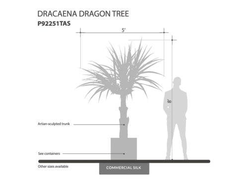 Dragon Tree ID# P92251TAS