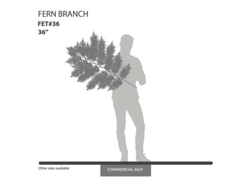 Tree Fern Spray ID# FET#36