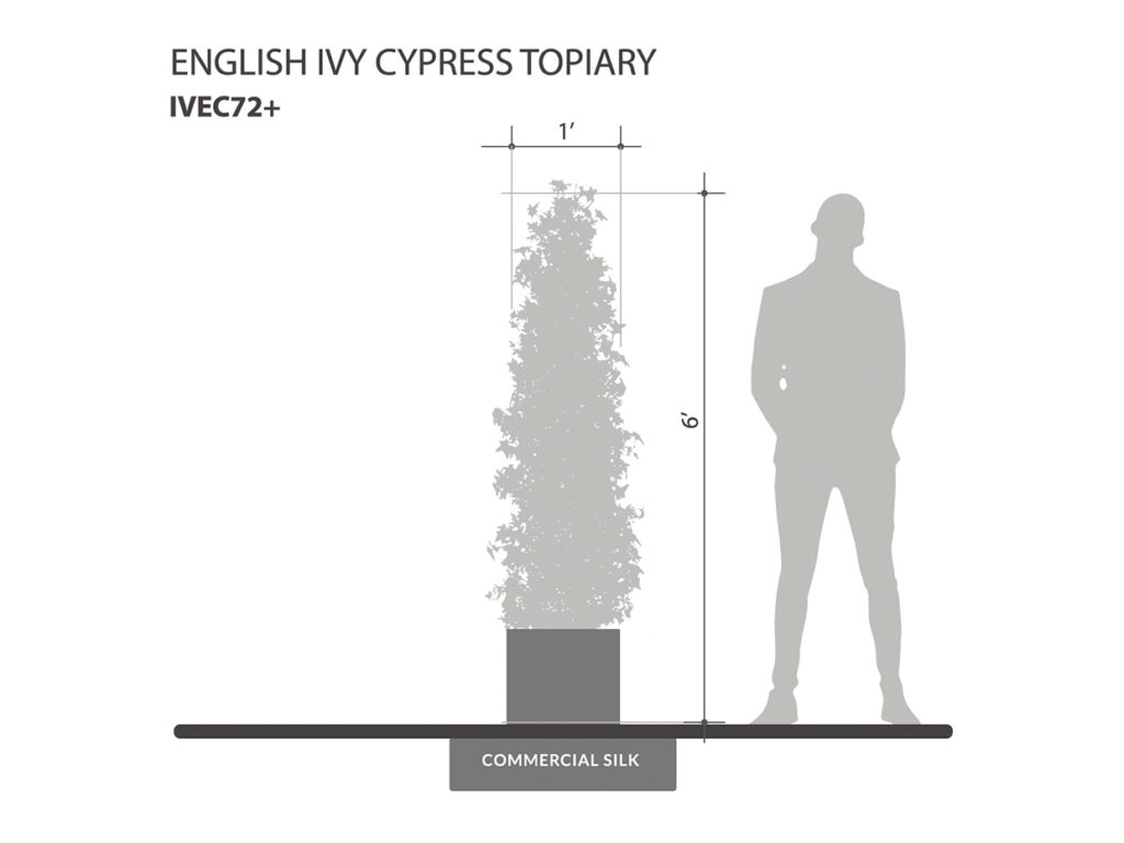 English Ivy Cypress Topiary ID# IVEC72+