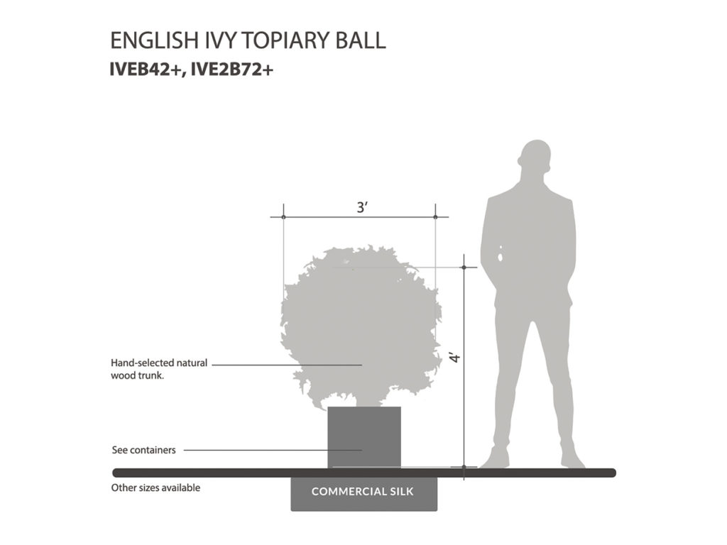 English Ivy Topiary Ball ID# IVEB42+, IVE2B72+