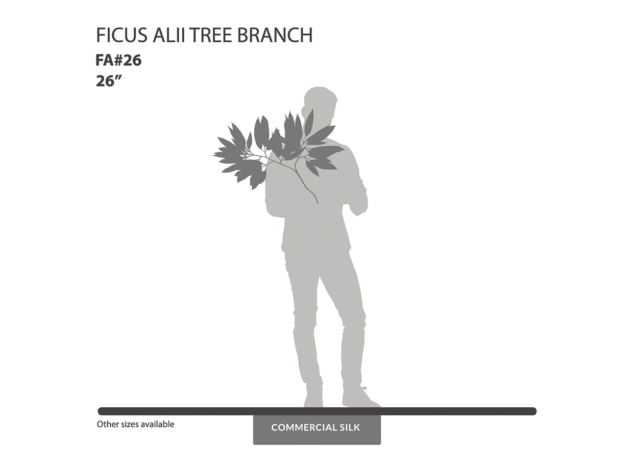 Alii Ficus Spray ID# FA#26