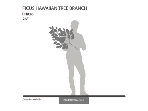 Hawaiian Ficus Spray ID# FH#26