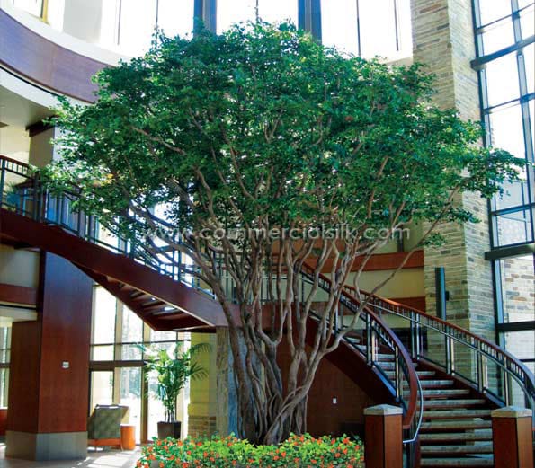Atrium Project