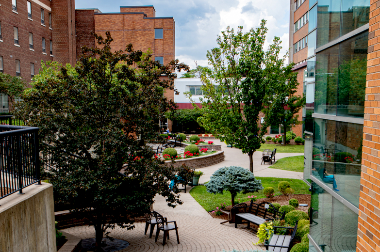 Applying the Benefits of Biophilic Theory to Hospital Design