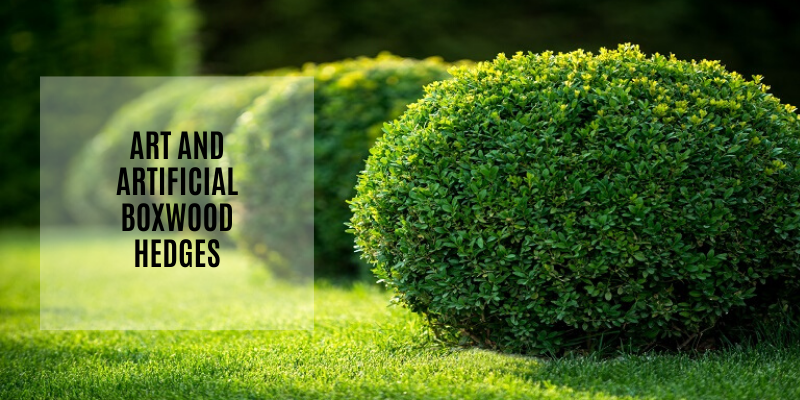 Art and Artificial Boxwood Hedges