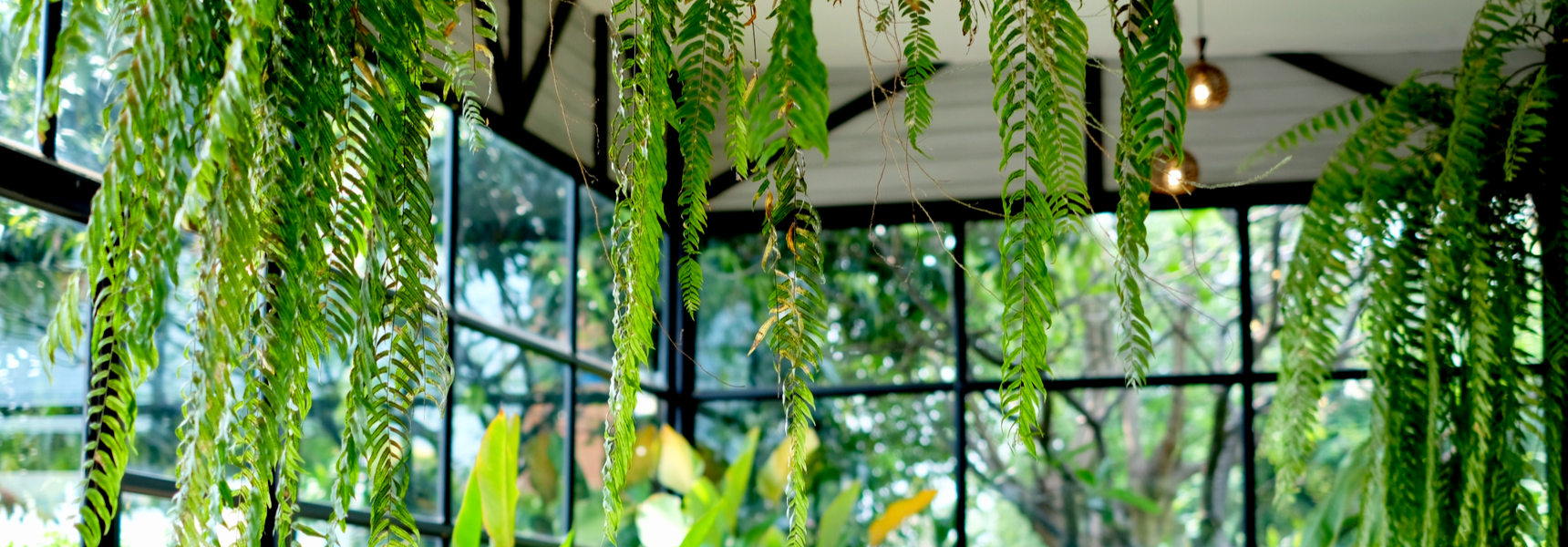 Artificial Hanging Plants Indoors