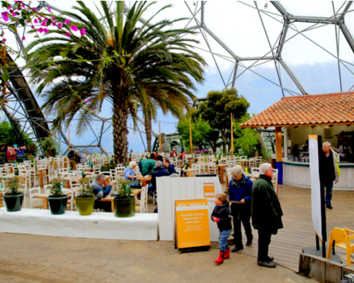 Artificial palm trees