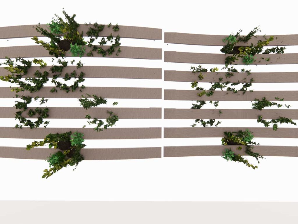 BIO-BGN-SP | Breeze Garden