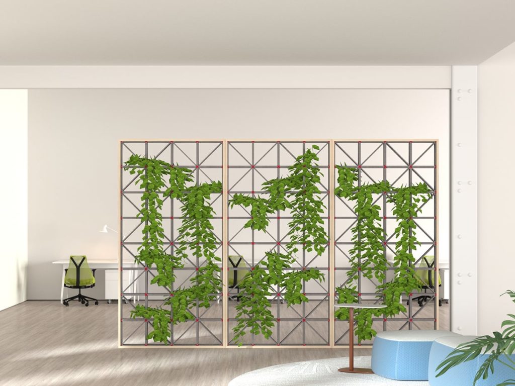 Dried Mud Natural Green Wall