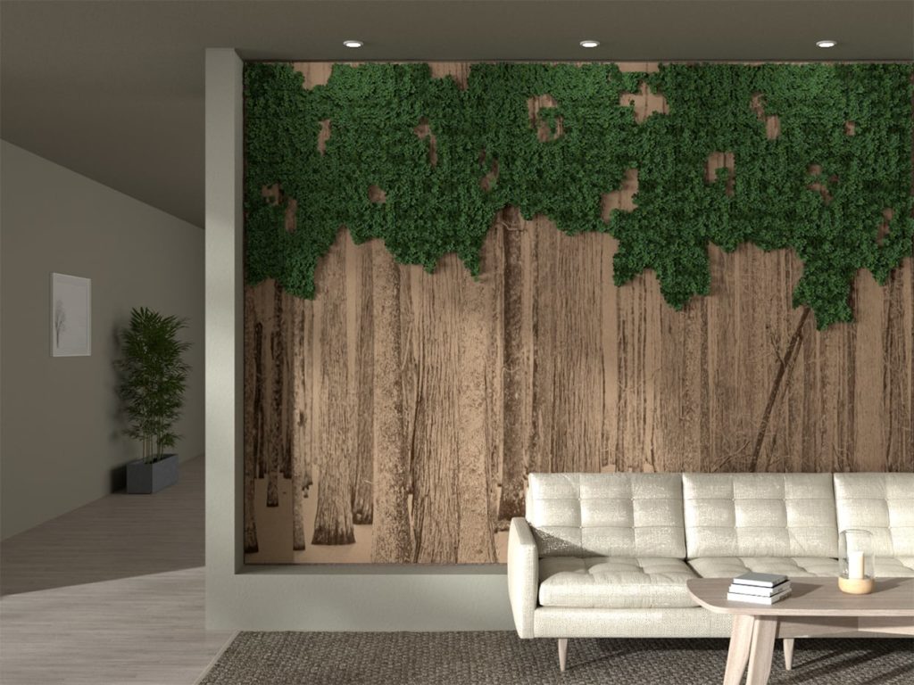 Green Canopy Hanging Tree Tops