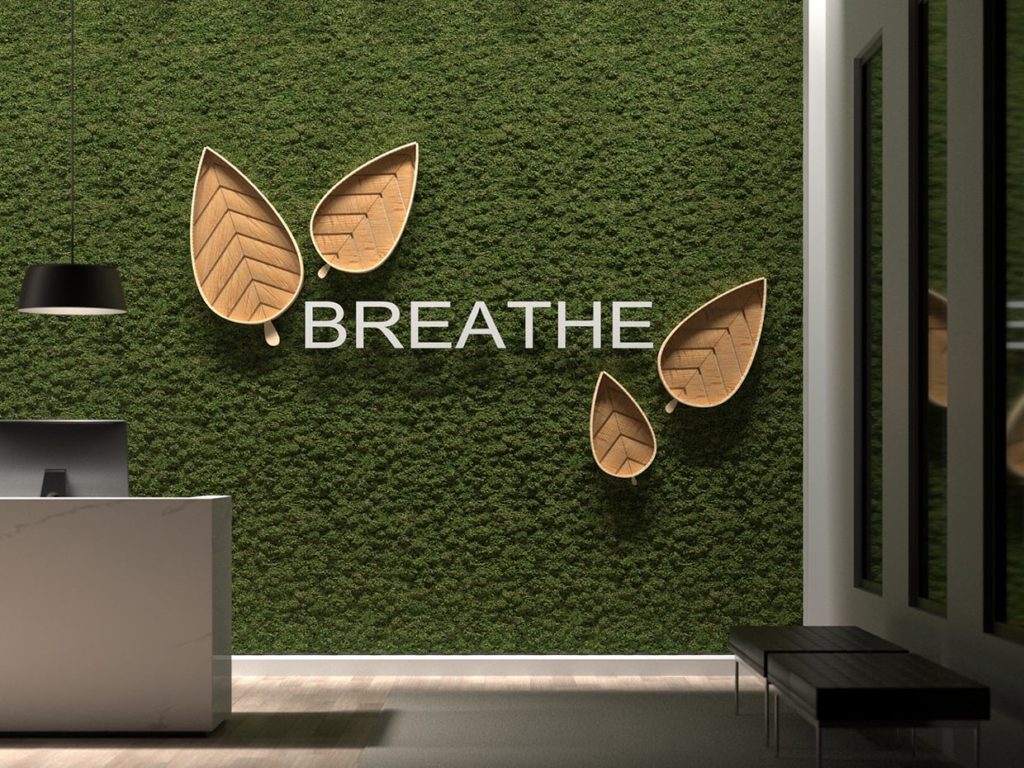 Dried Palm Leaf Wall Decor