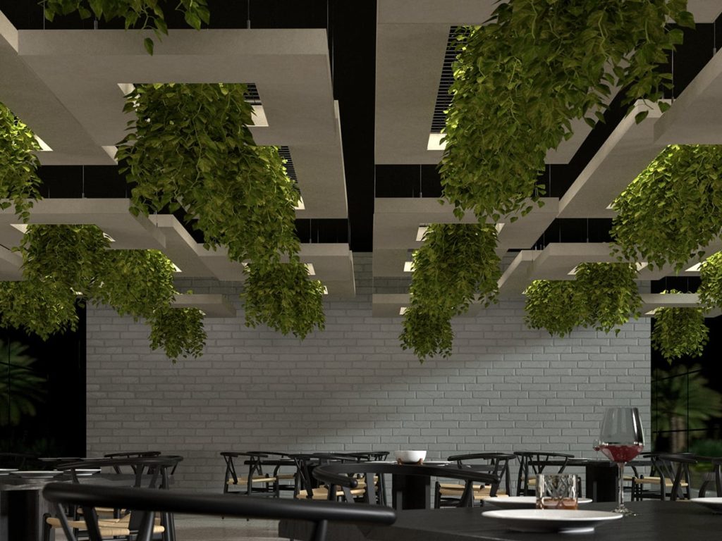 Hanging Vine Planters