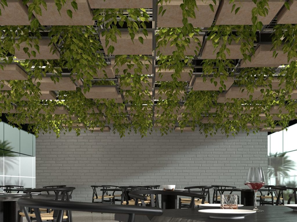 Suspended Lattice Ceiling Grid with Climbing Plants