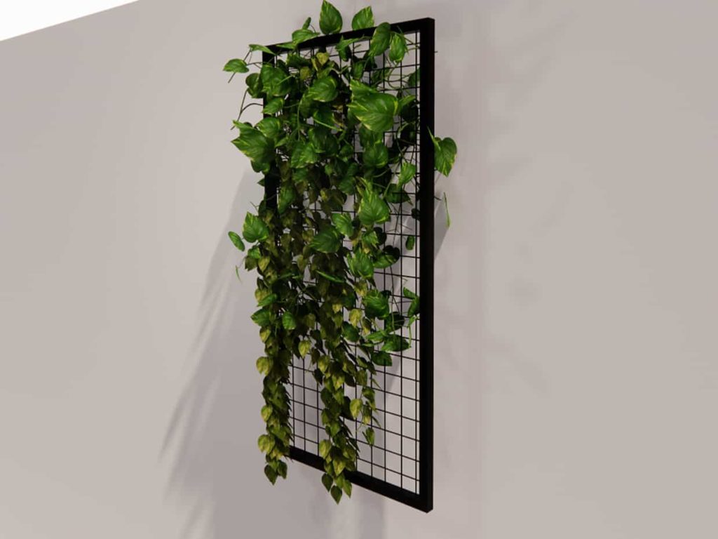 BIO-PSR-SP48 | Hanging Plant Screen