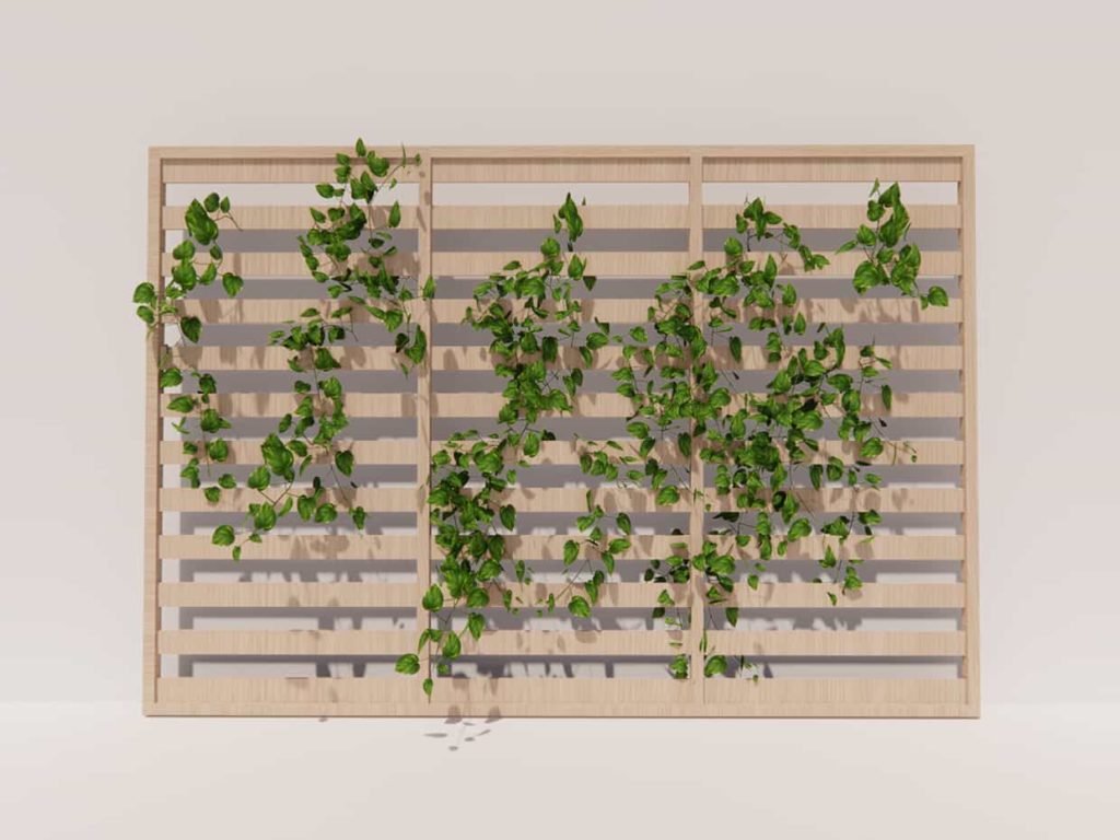 BIO-PTW-SFM | Plant Trellis Wall