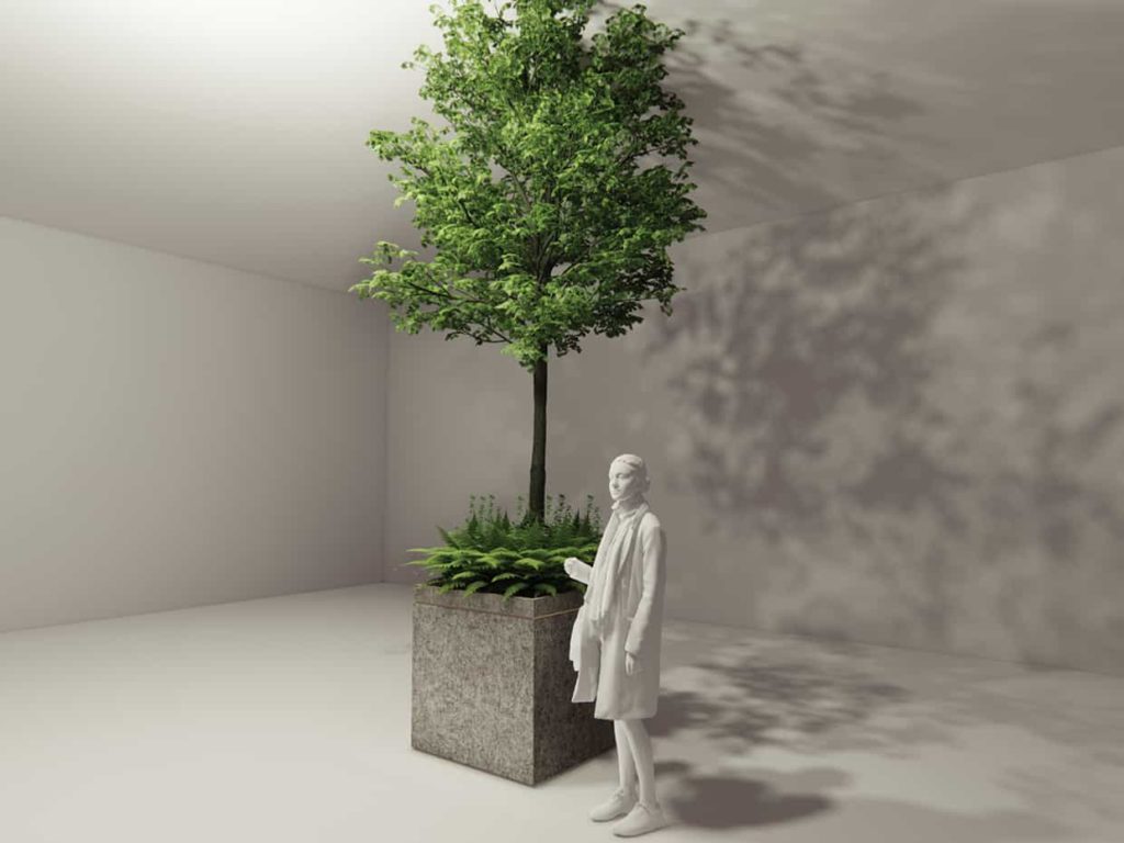 BIO-TRB-FS | Tree Planter Box