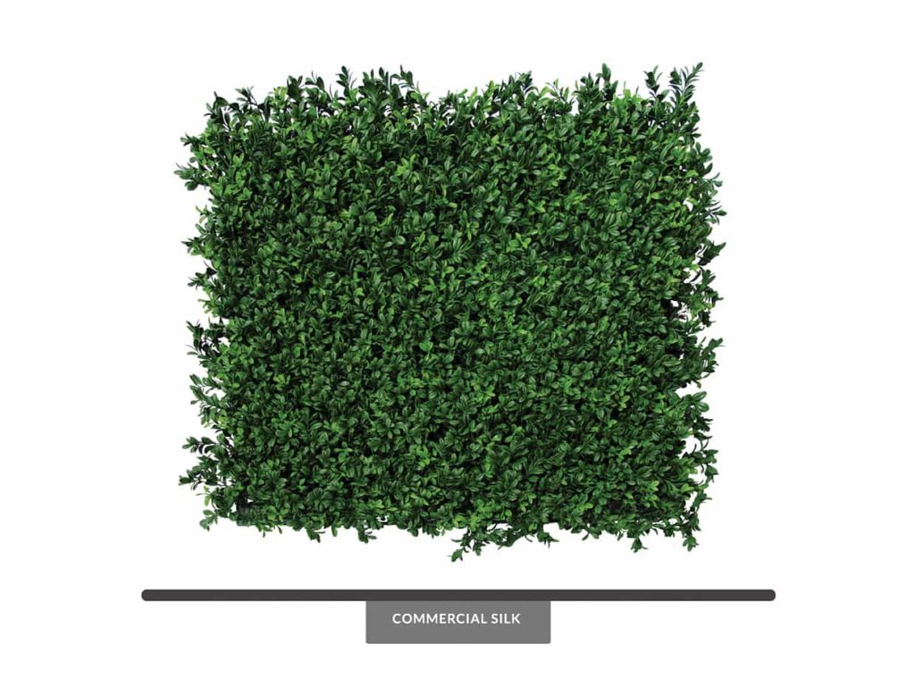 Large Leaf Boxwood Mat